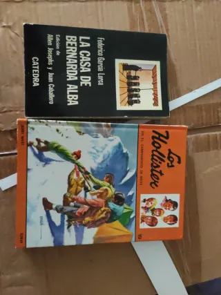 Lote libros. 1 euro todos, el conjunto de ellos