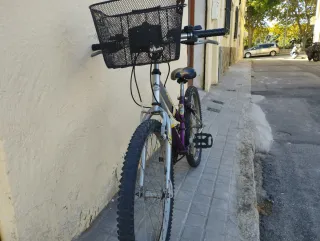 Bicicleta Coluer Puma 24