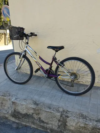 Bicicleta Coluer Puma 24