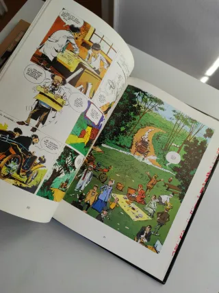 Lote dos libros infantiles, uno cómic