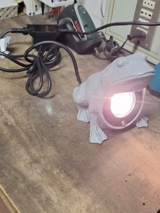 Lampada a forma di rana