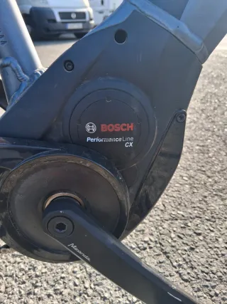 Bicicleta Eléctrica Paseo Pegasus