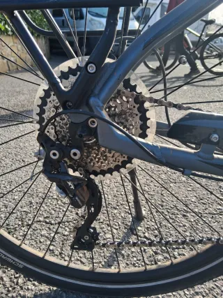 Bicicleta Eléctrica Paseo Pegasus