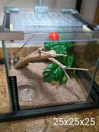 Terrario para mascotas.