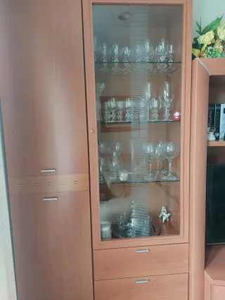 SALON COMPLETO:  SOFA Chaiselongue y muebles.