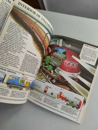 Lote dos libros Plesa Sm