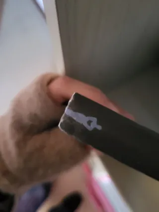 La famosa invasione degli orsi in Sicilia