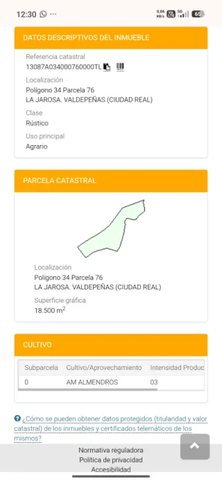 Terreno Rústico con Almendros. Valdepeñas