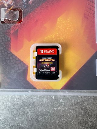 Edizione Eroe di Minecraft Dungeons per Nintendo Switch