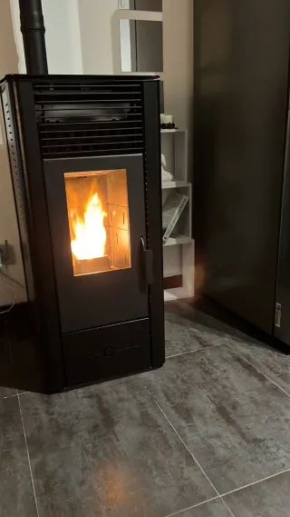 Chimenea Pellets Fujisol DS11 11Kw Negra