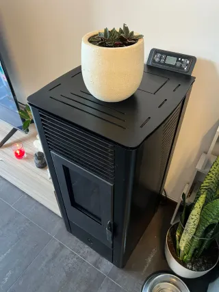 Chimenea Pellets Fujisol DS11 11Kw Negra