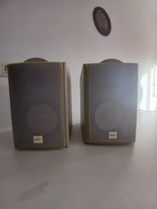 Altavoces Pioneer S-L5V