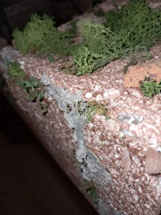 Fortaleza Oeste, Piratas, Safari escala Madelman