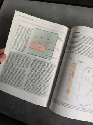 FUNDAMENTOS BIOLÓGICOS DE LA CONDUCTA