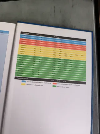 FUNDAMENTOS BIOLÓGICOS DE LA CONDUCTA