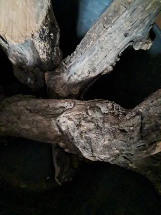 Leña de olivo para chimenea en El Rocío