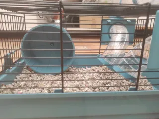 Jaula para hámster con túnel y bebedero