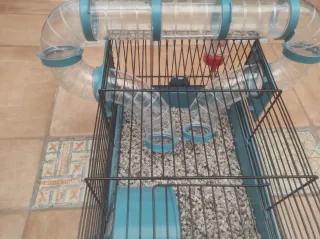 Jaula para hámster con túnel y bebedero