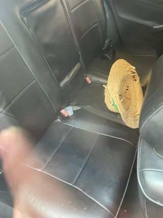 Volkswagen Golf 2001