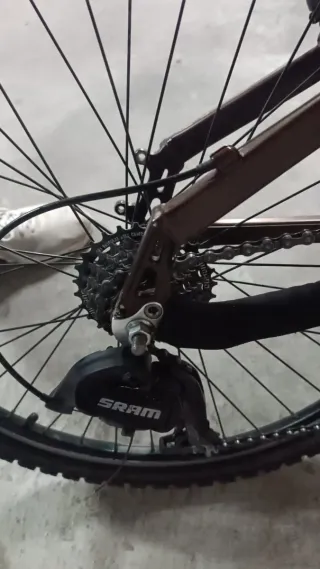 Bicicleta de montaña marrón