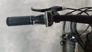 Bicicleta de montaña marrón