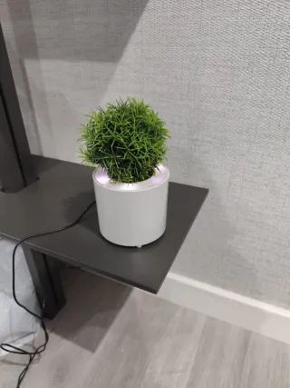 Macetas decorativas con luz LED