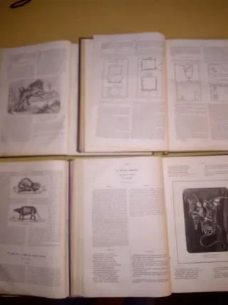 Revista Científica y Literaria "LA ABEJA"