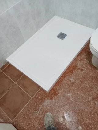 Profesional Alicatado y Solado