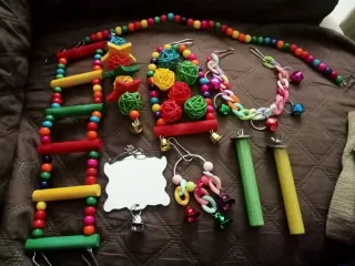 Jaula para pájaros y transportín