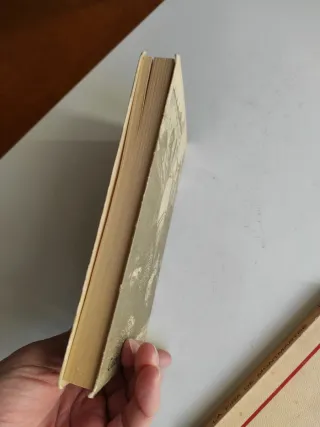 Lote dos libros literatura