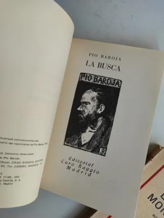 Lote dos libros literatura