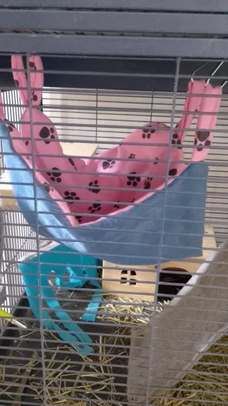 Amaca per roditori fatta a mano