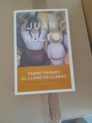 Pedro Paramo: El Llano En Llamas (Spanish Edition)