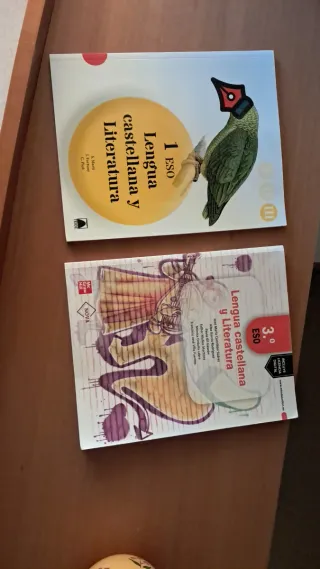 Primero eso lengua castellana y literatura
