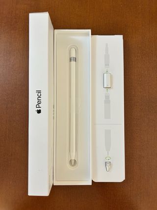 iPad Pro 256GB Grigio Siderale con Scatola Originale