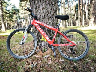 Bici Montaña BPRO M24 Alu Niño