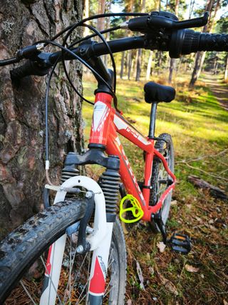 Bici Montaña BPRO M24 Alu Niño