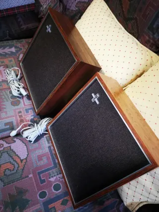 Altavoces Philips Marrones