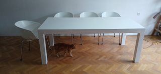 Mesa Comedor Blanca 200x90, Sillas Sintesi Orbit