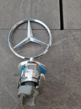 Estrella Capó Mercedes Cromada