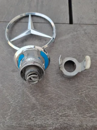 Estrella Capó Mercedes Cromada