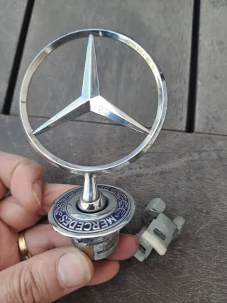 Estrella Capó Mercedes Cromada