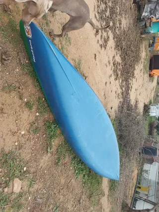 Canoa canadiense azul