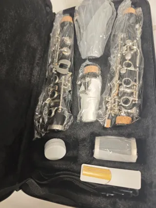 Clarinete Sib Roy Benson CG-220 (Sistema Alemán)