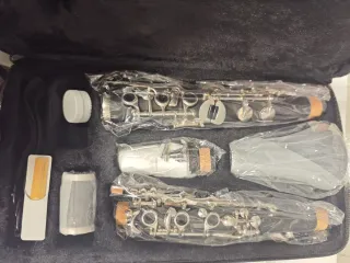 Clarinete Sib Roy Benson CG-220 (Sistema Alemán)