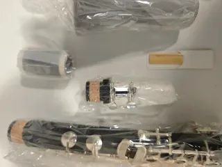 Clarinete Sib Roy Benson CG-220 (Sistema Alemán)