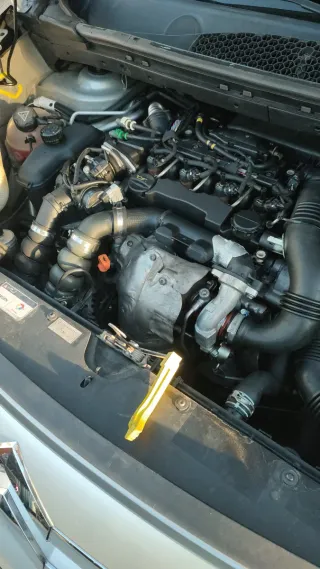 Citroen Berlingo 2010