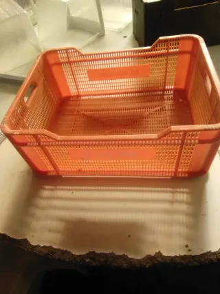 Cajones Plástico Fruta Verdura. Tengo 150 cajones