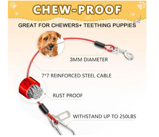 2 Cinture Sicurezza Auto per Cani