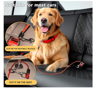 2 Cinture Sicurezza Auto per Cani